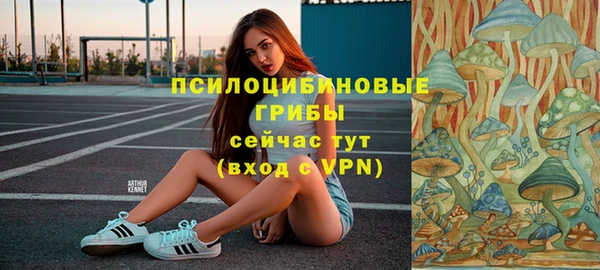 метамфетамин Алексин