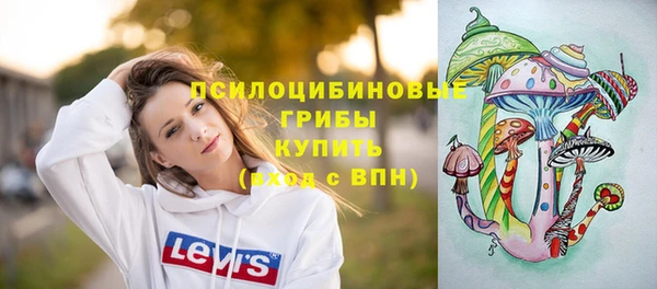 амф Алексеевка