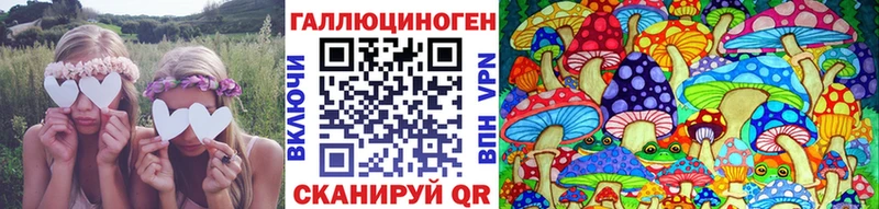 Галлюциногенные грибы Magic Shrooms  Заволжск 