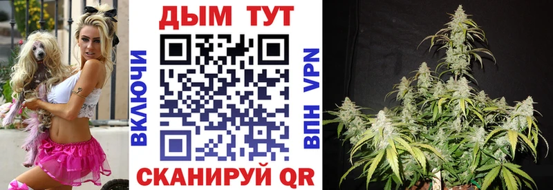 Бошки Шишки план  закладка  Заволжск 
